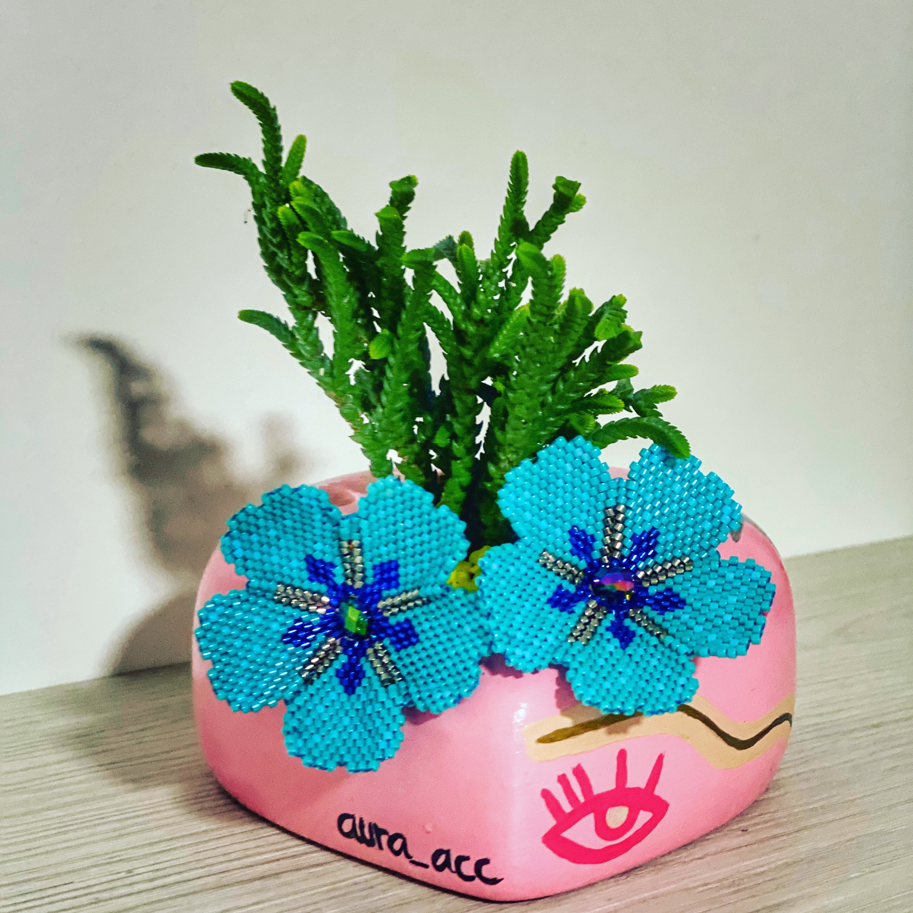 Hibisco